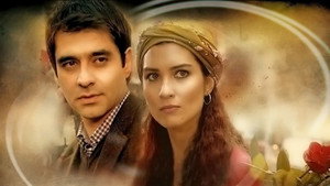 Разбивающая сердца (сериал, 2010)