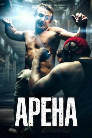 Арена (фильм, 2017)