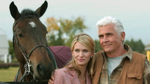 Вдова на холме (фильм, 2005)