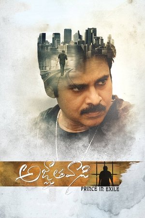 Изгнанник (фильм, 2018)