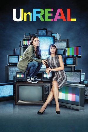 Нереальный холостяк (сериал, 2015)