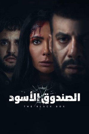 Черная коробка (фильм, 2020)