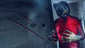 Блюз больного кота (фильм, 2015)