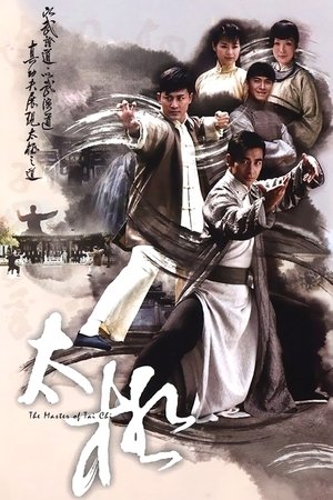 Мастер тайцзи (сериал, 2008)