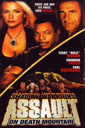Нападение на Остров Дьявола 2: Гора Смерти (фильм, 1998)