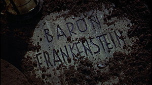Месть Франкенштейна (фильм, 1958)