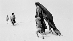 Соль Земли (фильм, 2014)