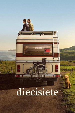 17-летний (фильм, 2019)