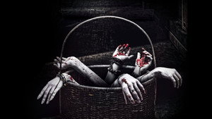 История ужасов (фильм, 2013)