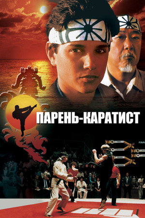 Парень-каратист (фильм, 1984)