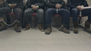 Страна иммигрантов (сериал, 2020)