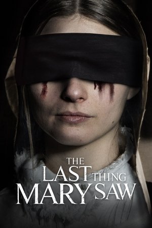 Последнее, что видела Мэри (фильм, 2021)