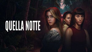 Той ночью (сериал, 2026)