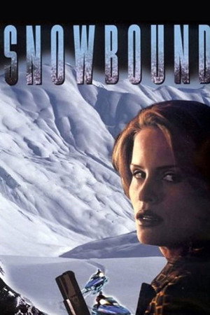 Занесенный снегом (фильм, 2001)