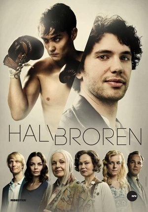 Полубрат (сериал, 2013)