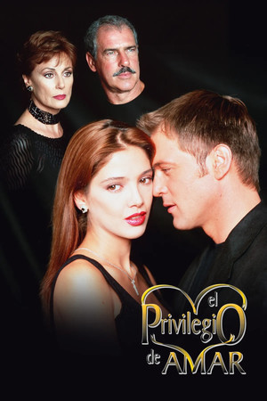Привилегия любить (сериал, 1998)