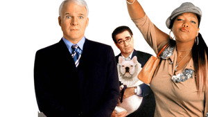 Дом вверх дном (фильм, 2003)