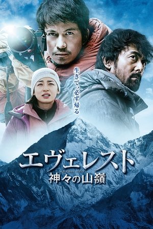 Эверест — вершина богов (фильм, 2016)