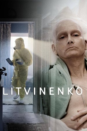 Литвиненко (сериал, 2022)
