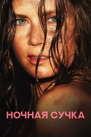 Ночная сучка (фильм, 2024)