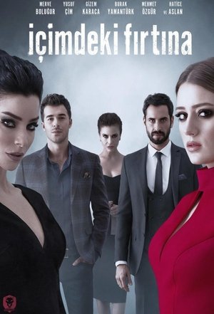 Буря внутри меня (сериал, 2017)