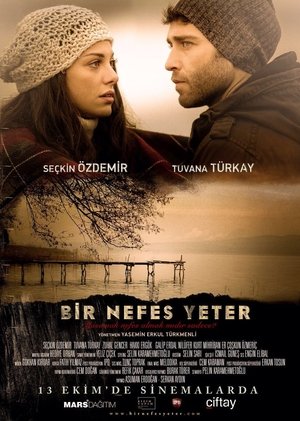 Хватит одного дыхания (фильм, 2017)