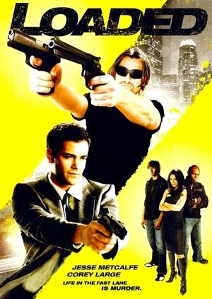 Под кайфом (фильм, 2008)