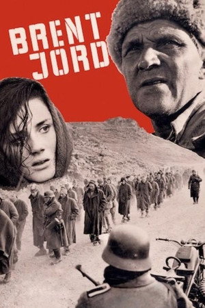 Выжженная земля (фильм, 1969)