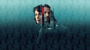 Женщина в стене (сериал, 2023)
