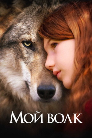 Мой волк (фильм, 2021)
