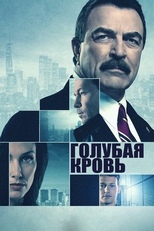 Голубая кровь (сериал, 2010)