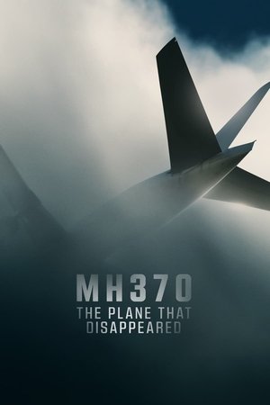 MH370: Самолёт, который исчез (сериал, 2023)