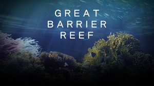 Большой барьерный риф с Дэвидом Аттенборо (сериал, 2015)
