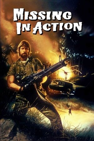 Без вести пропавшие (фильм, 1984)