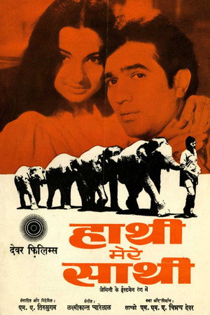 Слоны — мои друзья (фильм, 1971)