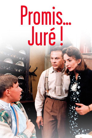 Клянусь… господин судья! (фильм, 1987)