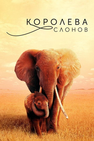 Королева слонов (фильм, 2019)