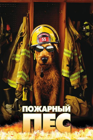 Пожарный пес (фильм, 2006)