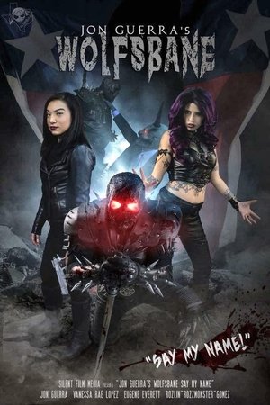 Меня зовут Волкодав (фильм, 2018)