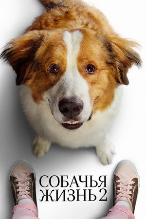 Собачья жизнь 2 (фильм, 2019)