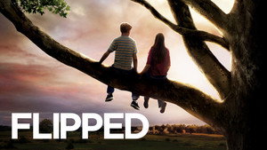 Привет, Джули! (фильм, 2010)