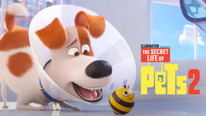 Тайная жизнь домашних животных 2 (мультфильм, 2019)