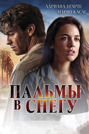 Пальмы в снегу (фильм, 2015)