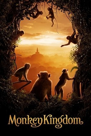 Королевство обезьян (фильм, 2015)
