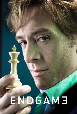 Конец игры (сериал, 2011)