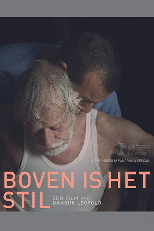 Кругом тишина (фильм, 2013)