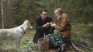 Человек без прошлого (фильм, 2002)