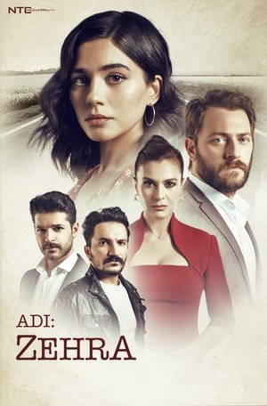 Её имя Зехра (сериал, 2018)