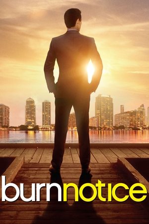 Чёрная метка (сериал, 2007)