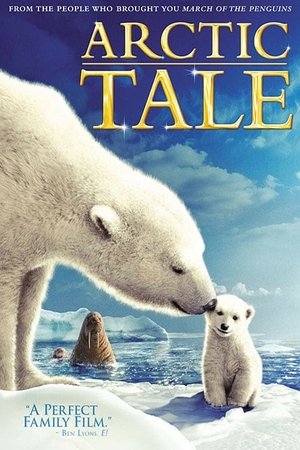 Мишка на Севере (фильм, 2006)